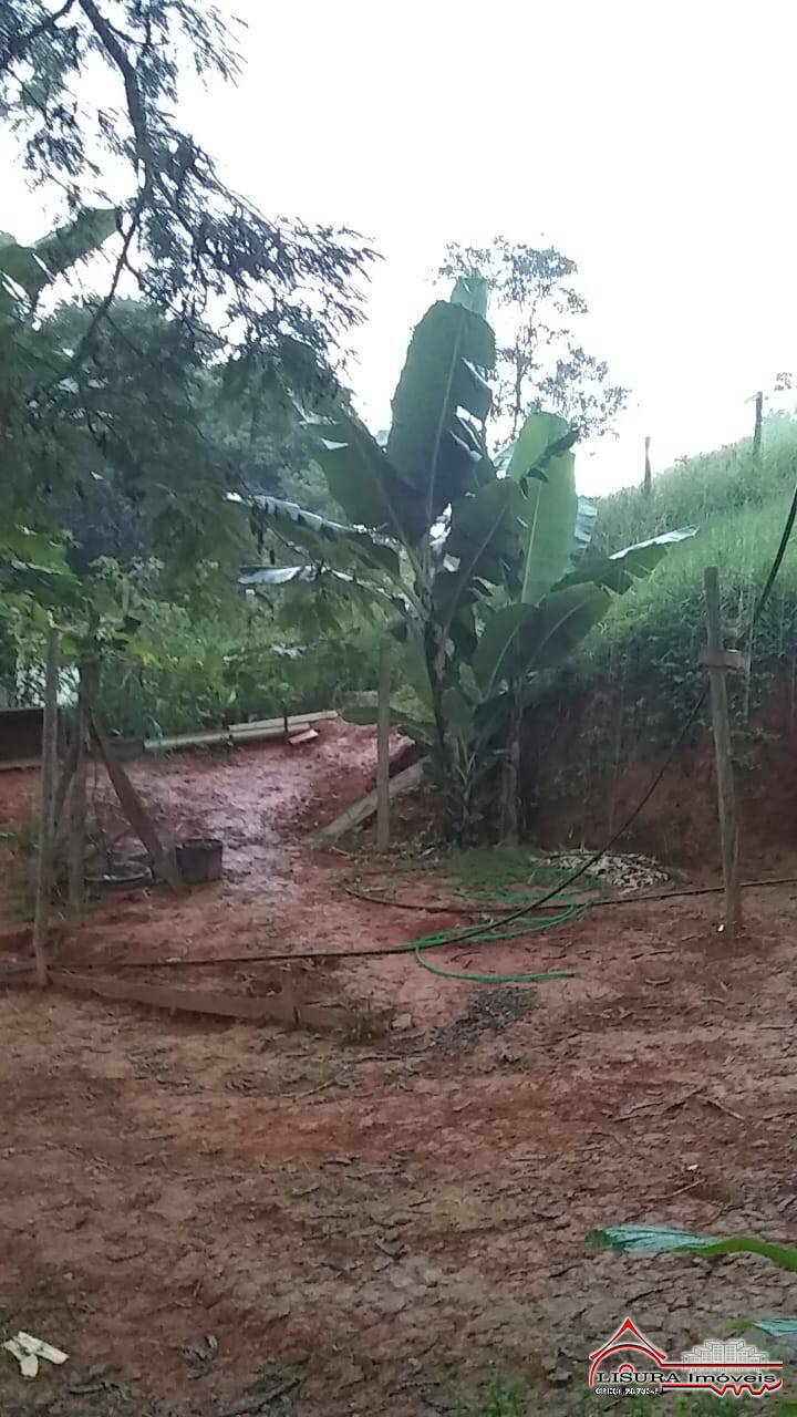 Fazenda à venda com 2 quartos, 100m² - Foto 25