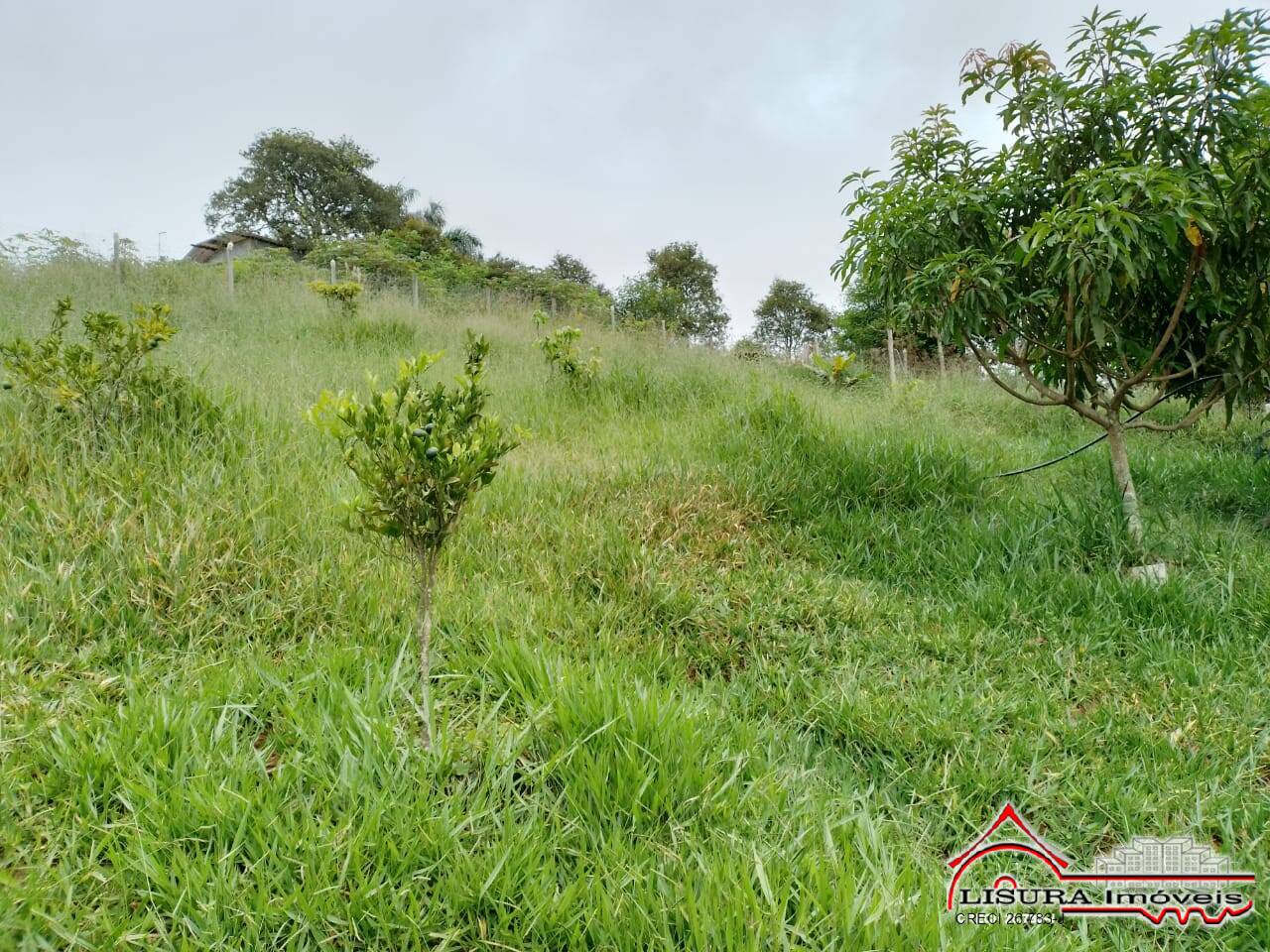 Fazenda à venda com 2 quartos, 100m² - Foto 29