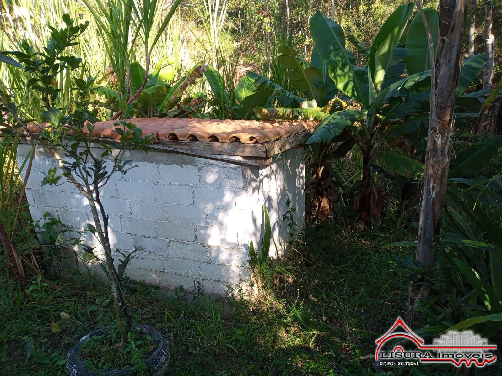 Fazenda à venda com 3 quartos, 126m² - Foto 22