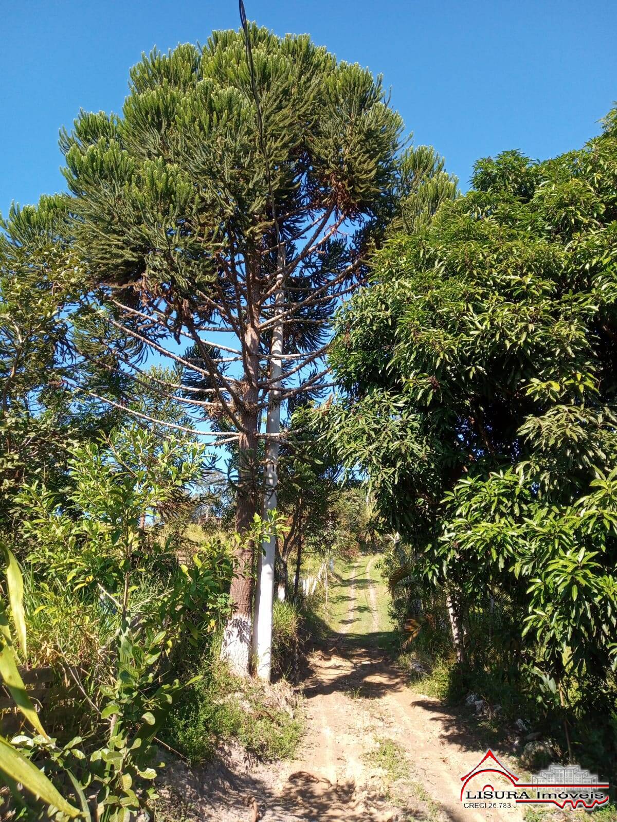 Fazenda à venda com 3 quartos, 126m² - Foto 25