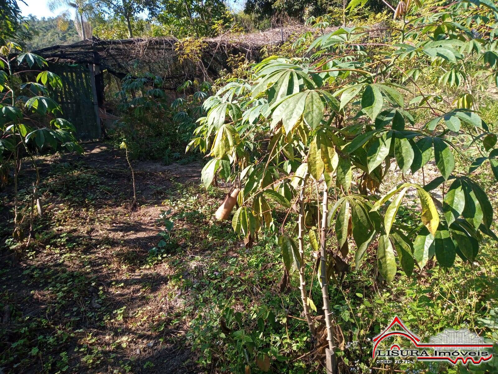 Fazenda à venda com 3 quartos, 126m² - Foto 26