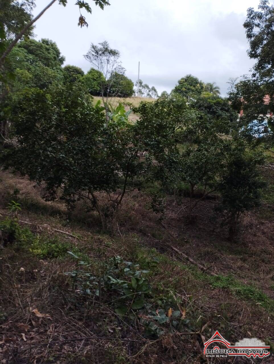 Terreno à venda, 1m² - Foto 4