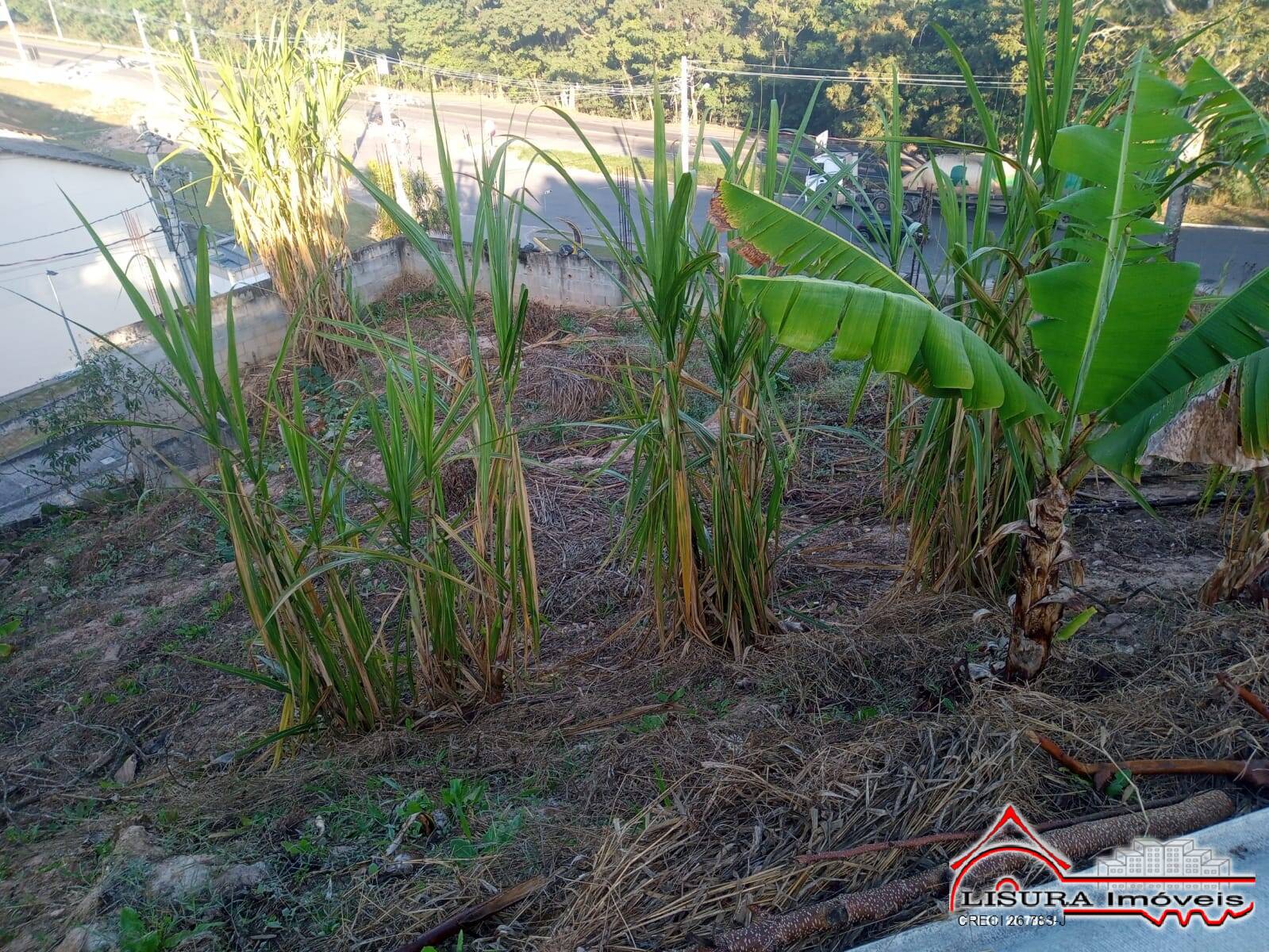 Terreno à venda, 2580m² - Foto 7