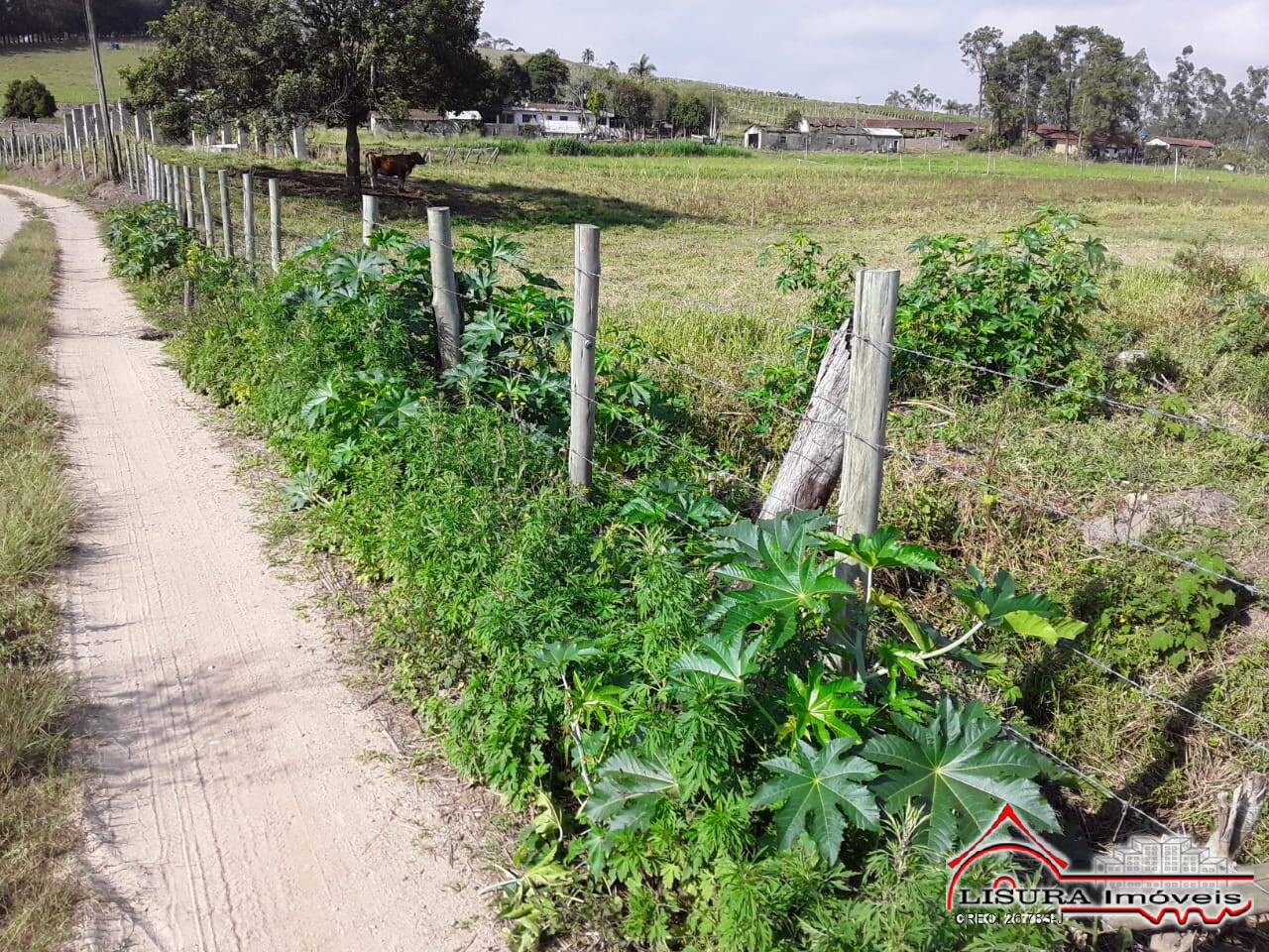 Terreno à venda, 1250m² - Foto 9