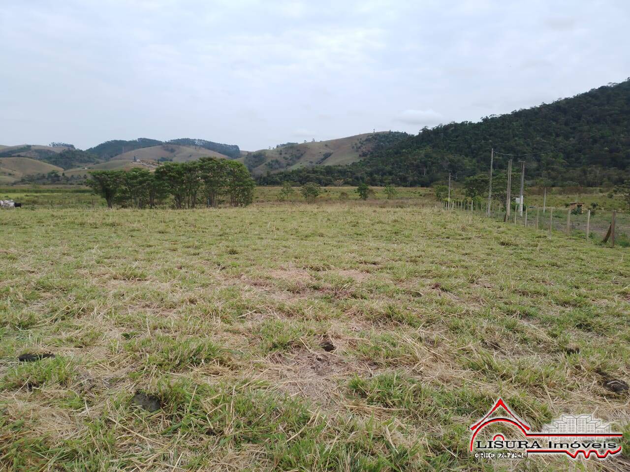 Terreno à venda, 1250m² - Foto 3