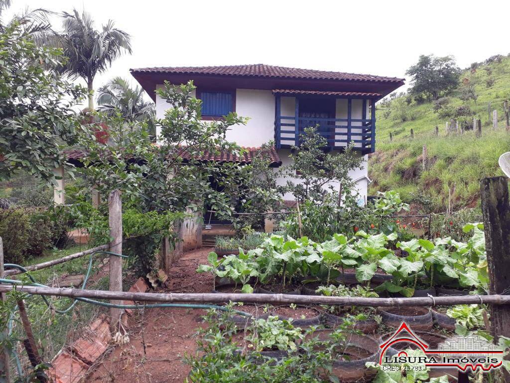 Fazenda à venda com 4 quartos, 65000m² - Foto 5