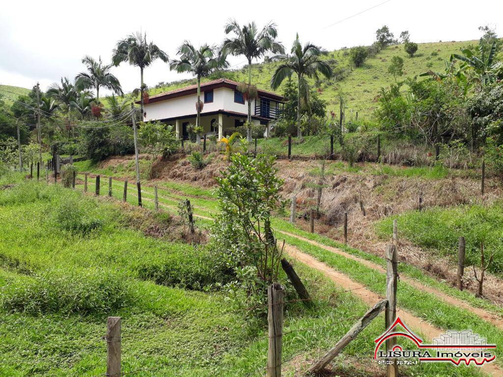 Fazenda à venda com 4 quartos, 65000m² - Foto 2