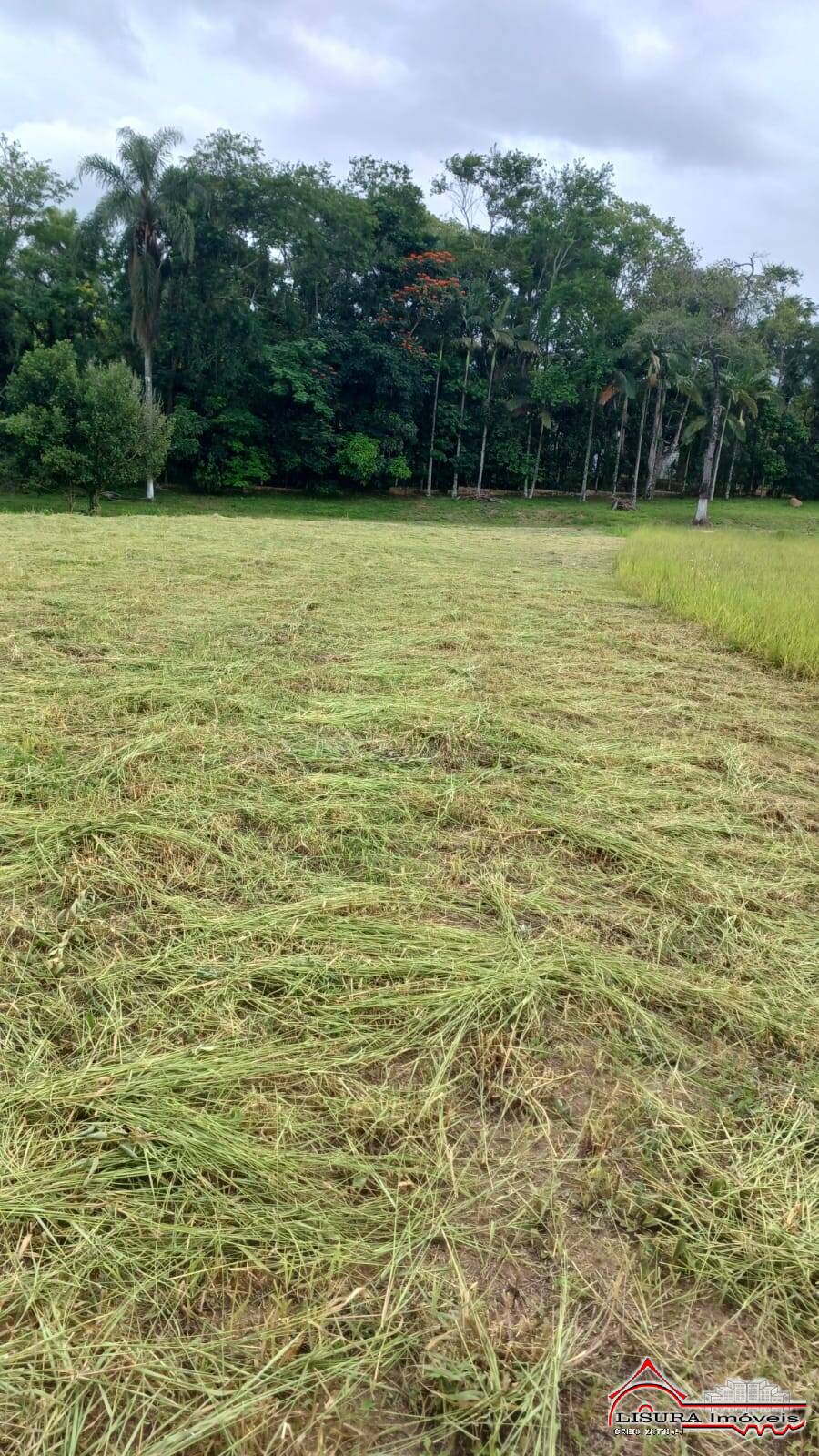 Loteamento e Condomínio, 1 hectares - Foto 2