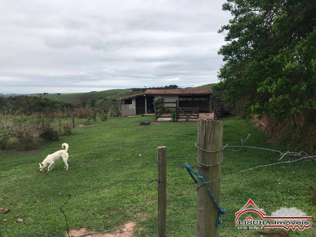 Fazenda à venda com 3 quartos, 400m² - Foto 64