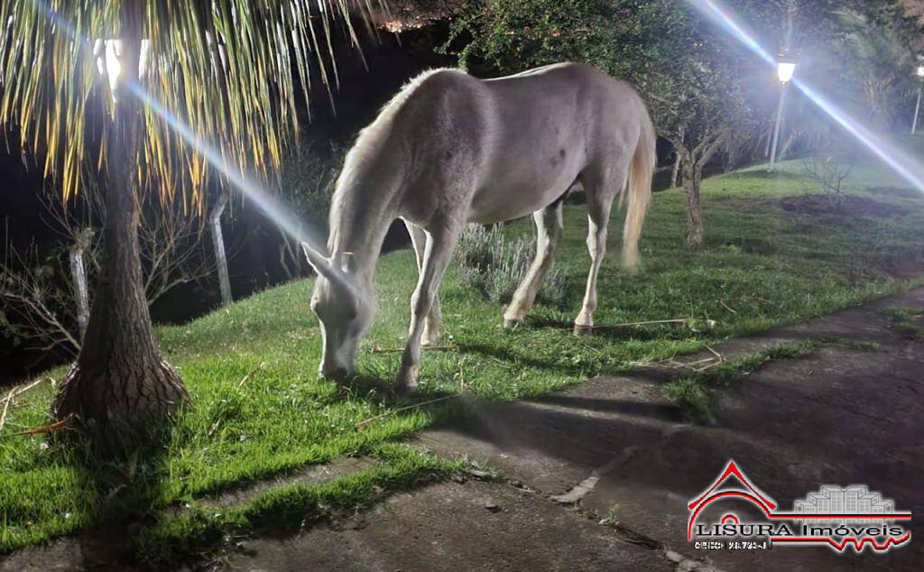 Fazenda à venda com 3 quartos, 400m² - Foto 73