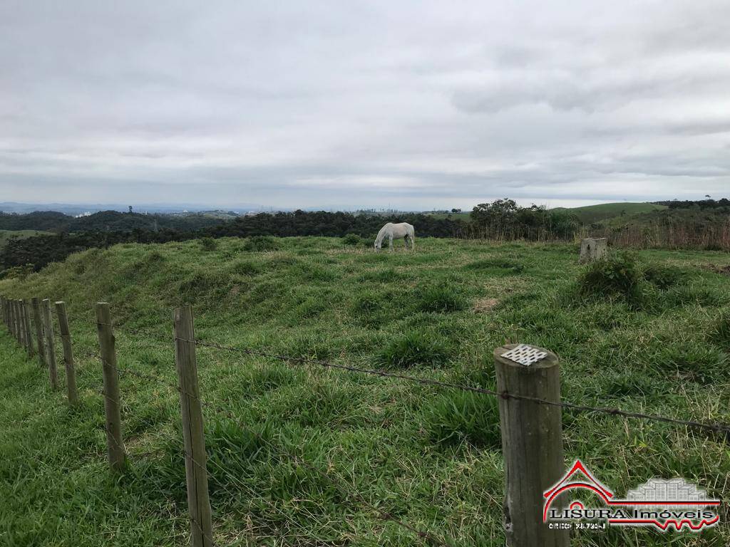 Fazenda à venda com 3 quartos, 400m² - Foto 89