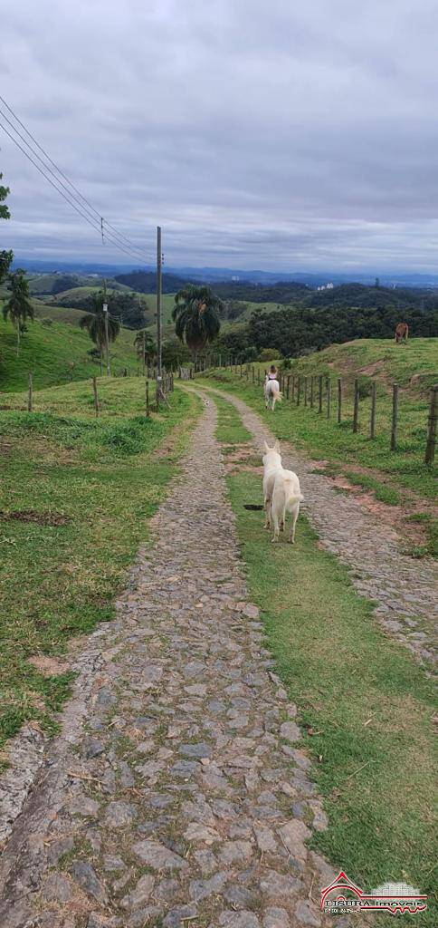 Fazenda à venda com 3 quartos, 400m² - Foto 98