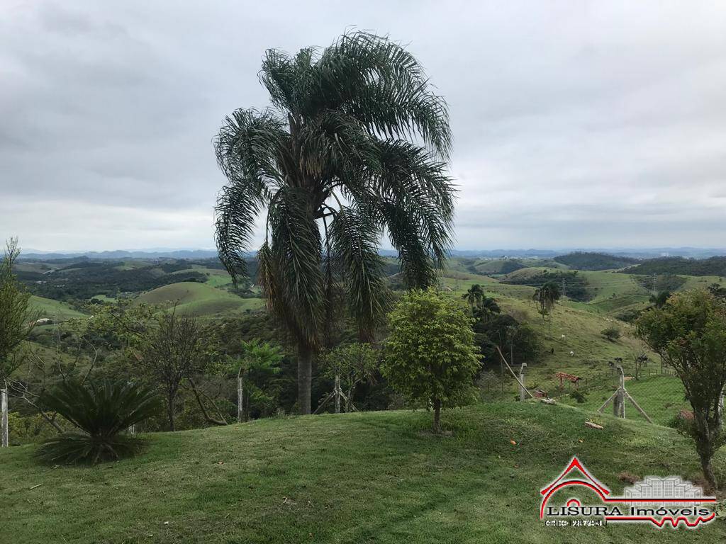 Fazenda à venda com 3 quartos, 400m² - Foto 96