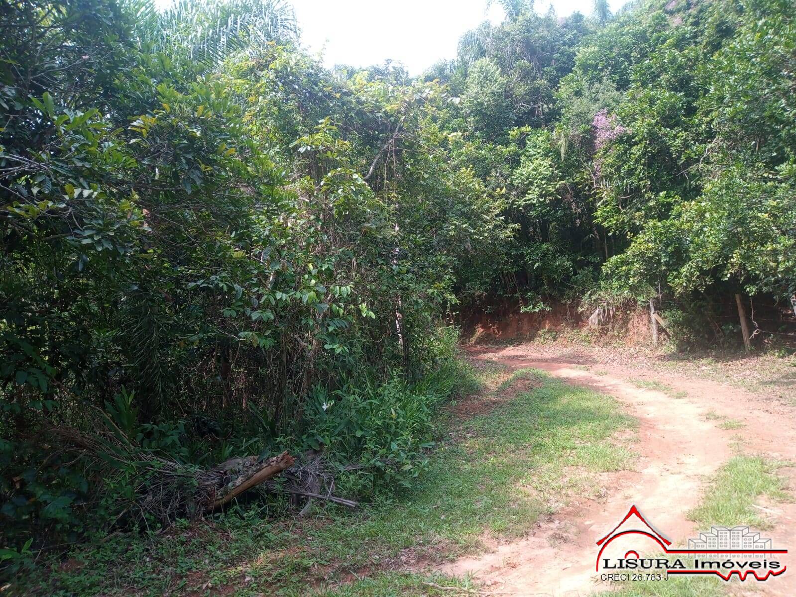 Fazenda à venda com 3 quartos, 300m² - Foto 15