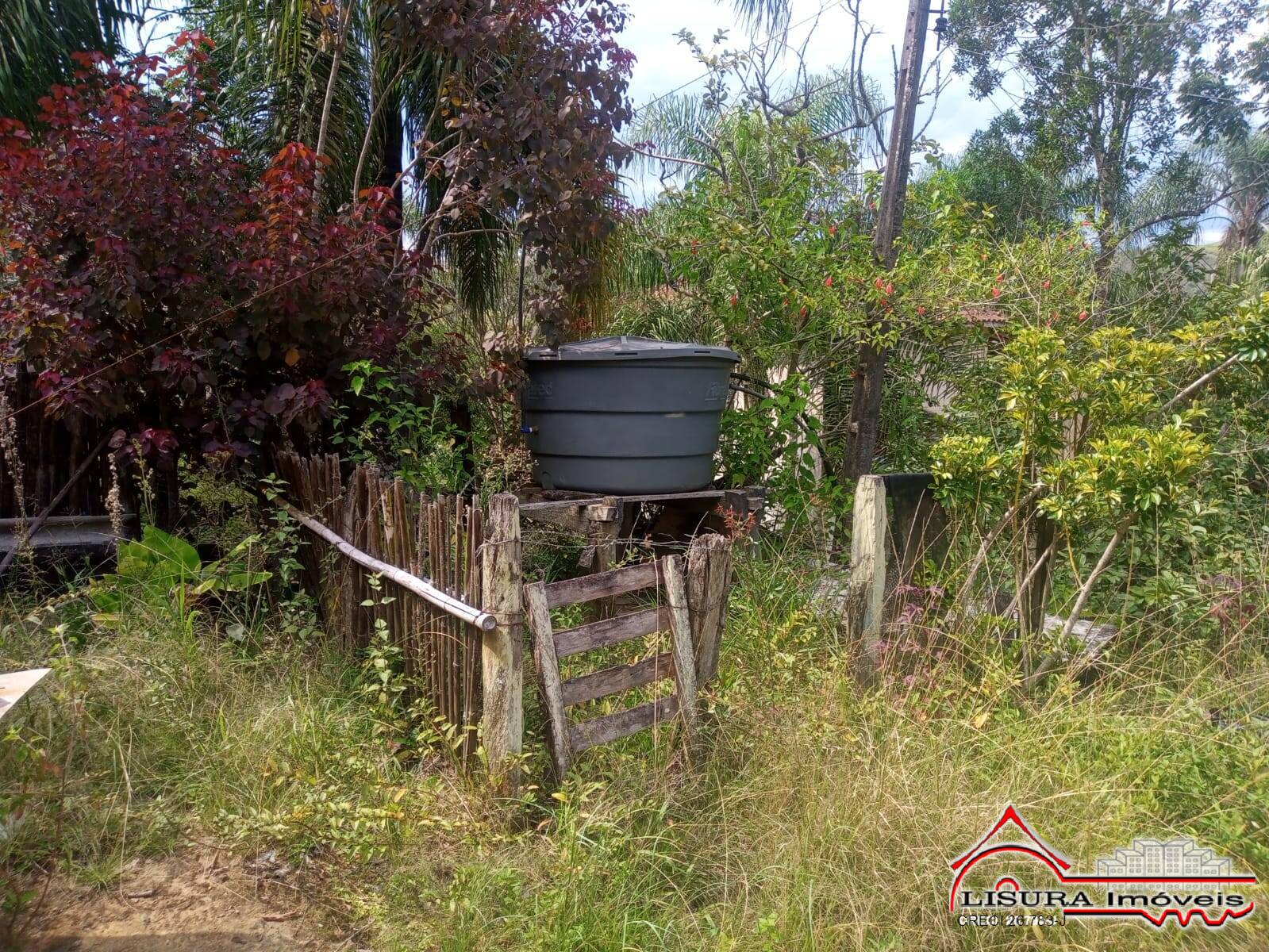 Fazenda à venda com 3 quartos, 300m² - Foto 12