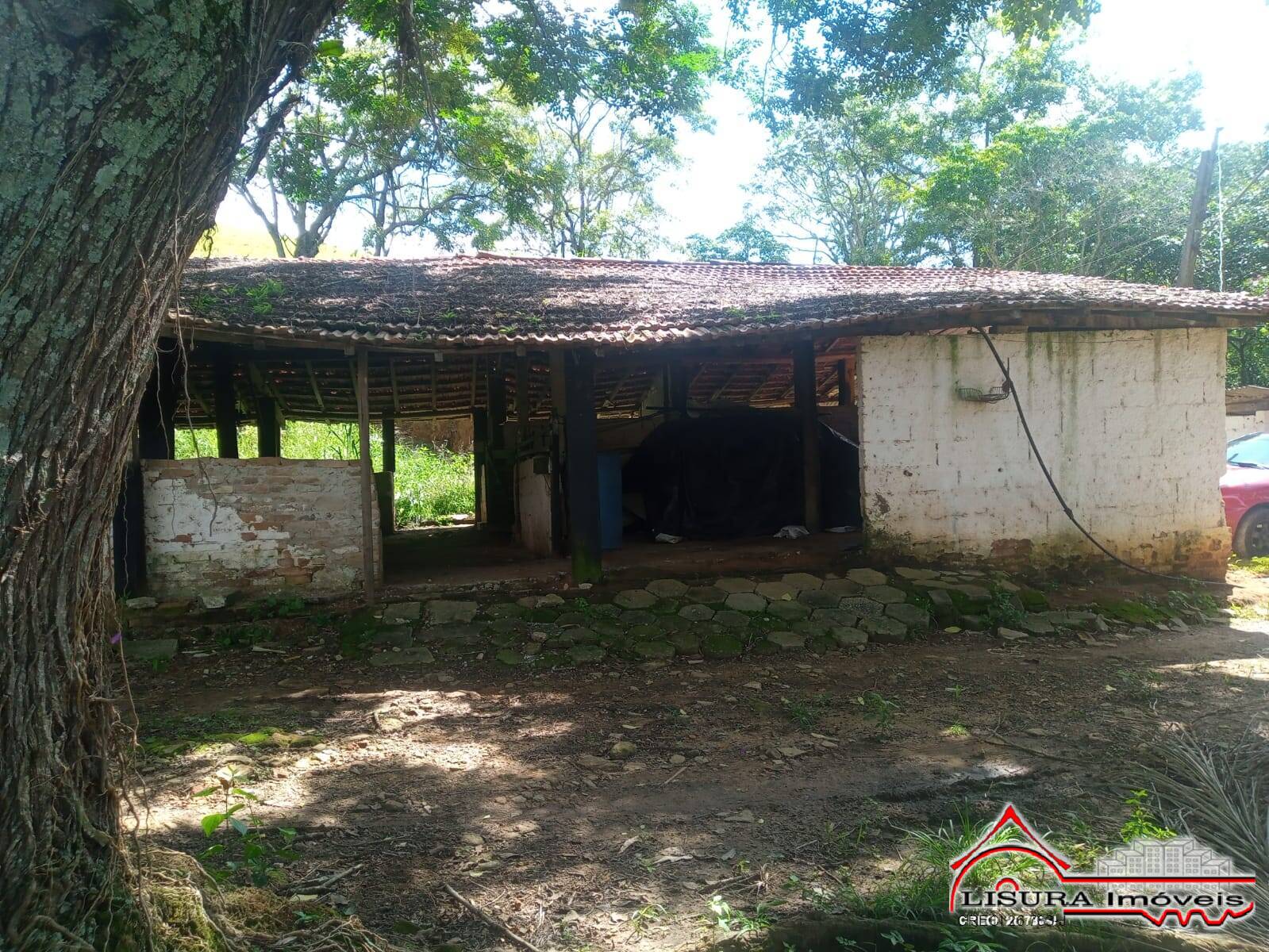 Fazenda à venda com 3 quartos, 300m² - Foto 6