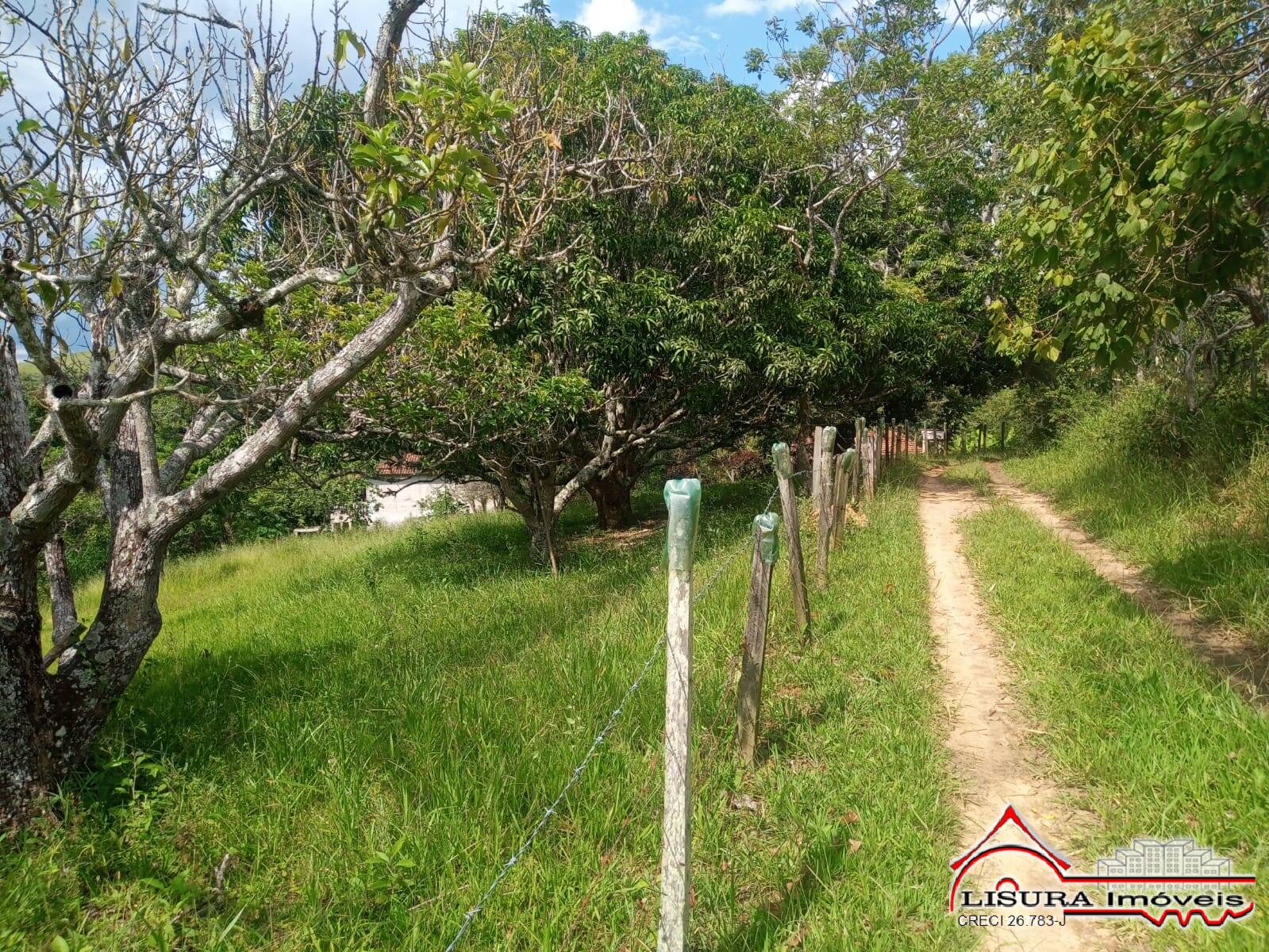 Fazenda à venda com 3 quartos, 300m² - Foto 16