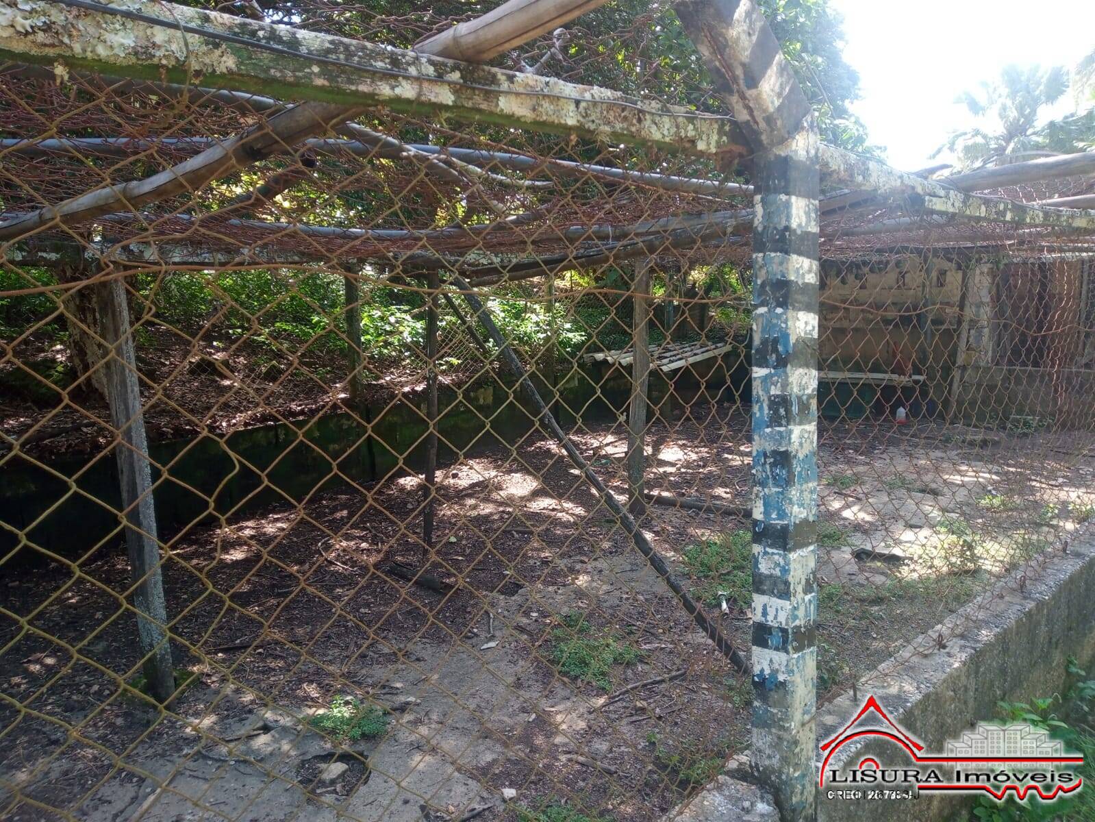 Fazenda à venda com 3 quartos, 300m² - Foto 22