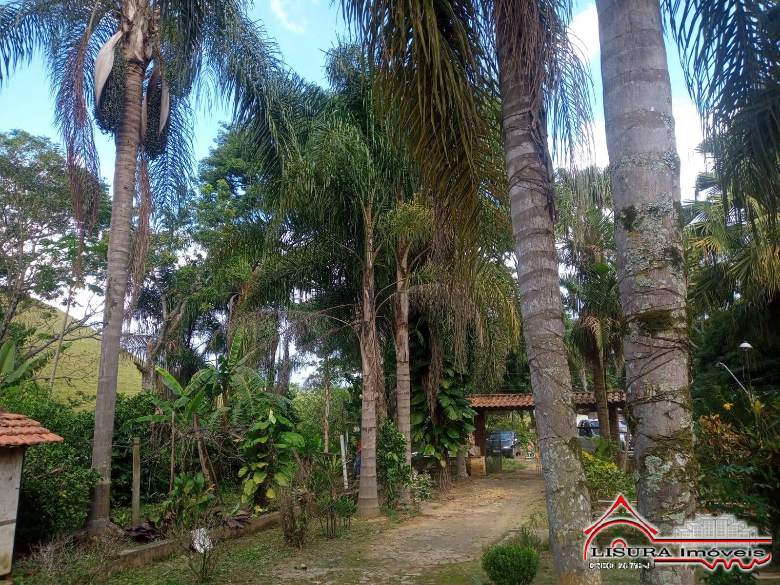 Fazenda à venda com 3 quartos, 300m² - Foto 2