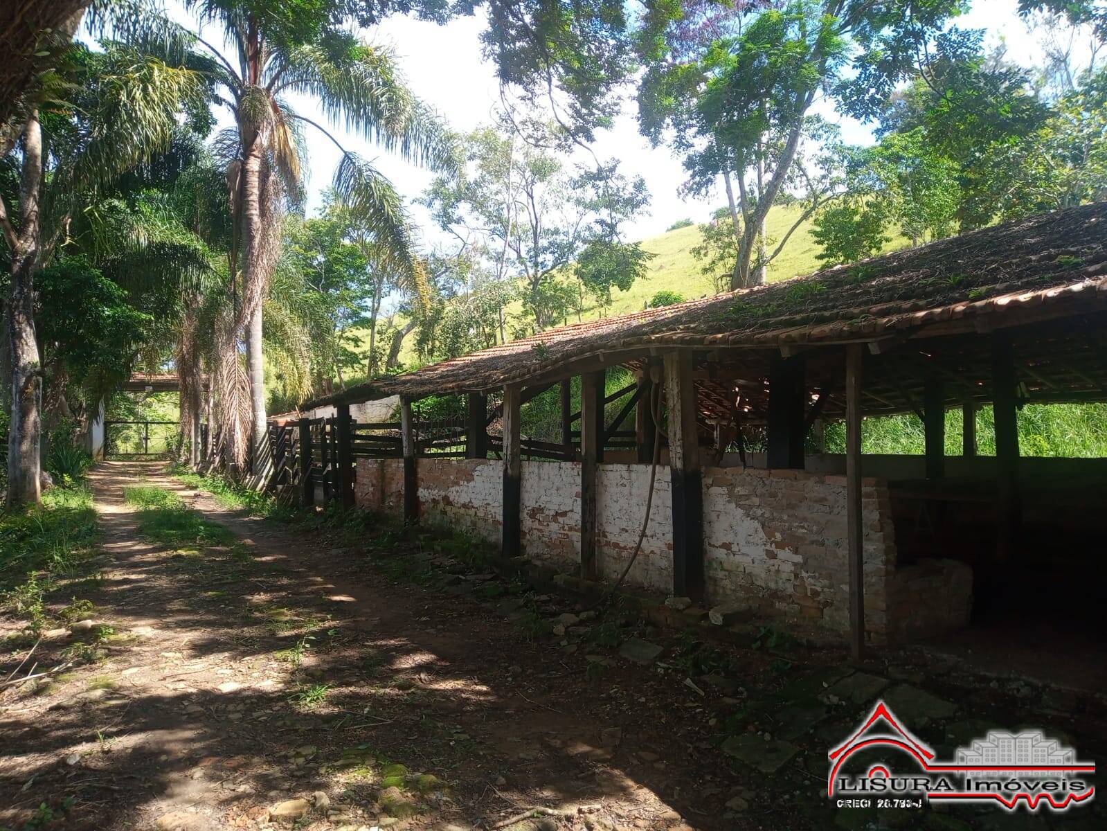 Fazenda à venda com 3 quartos, 300m² - Foto 20