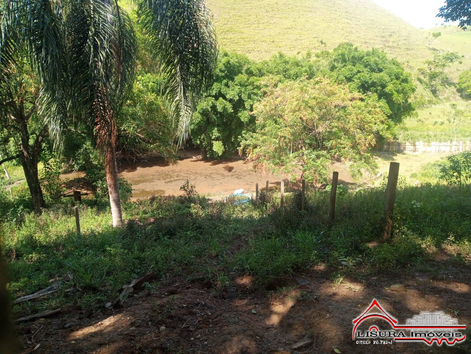 Fazenda à venda com 3 quartos, 300m² - Foto 10