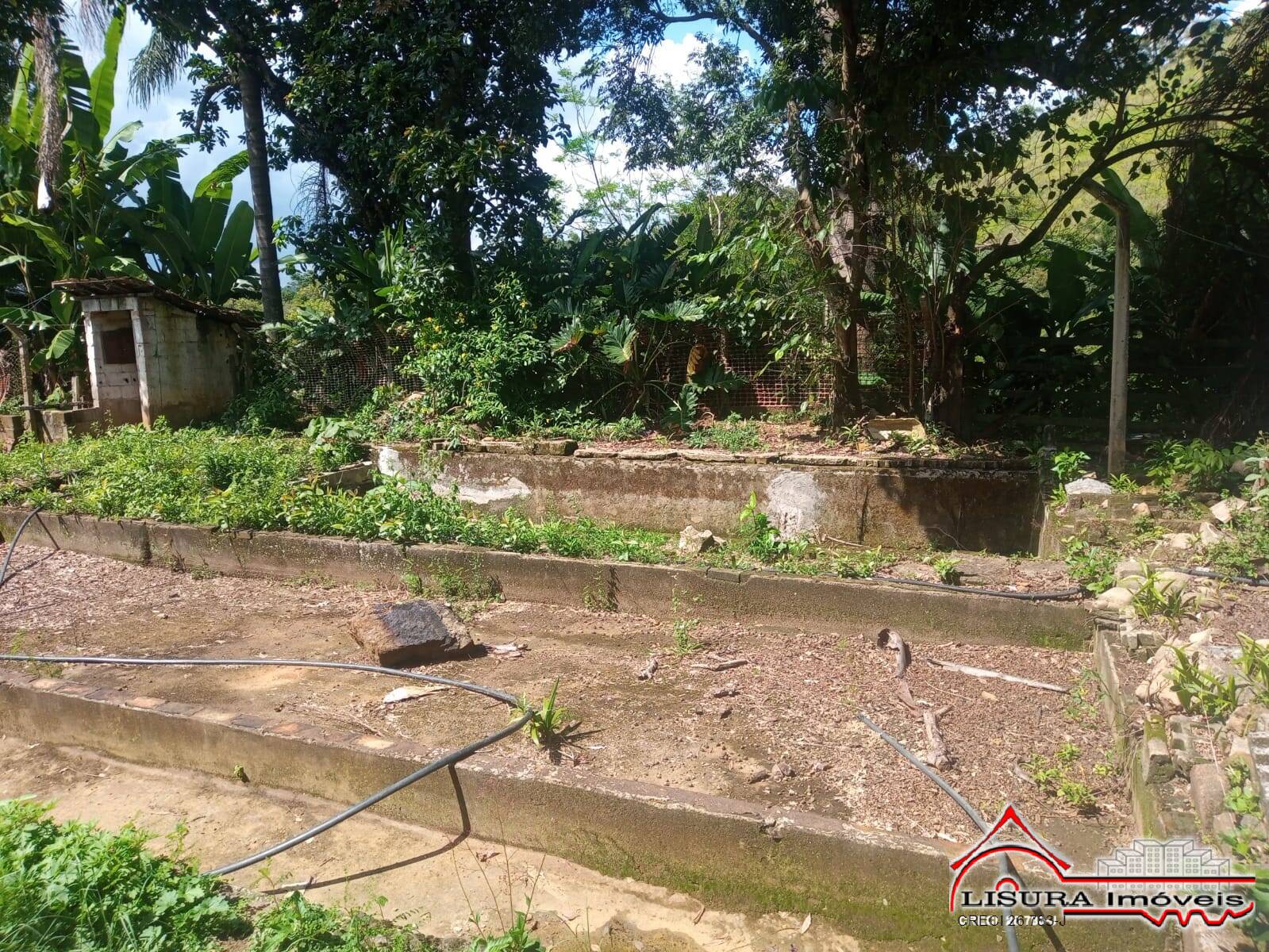 Fazenda à venda com 3 quartos, 300m² - Foto 13