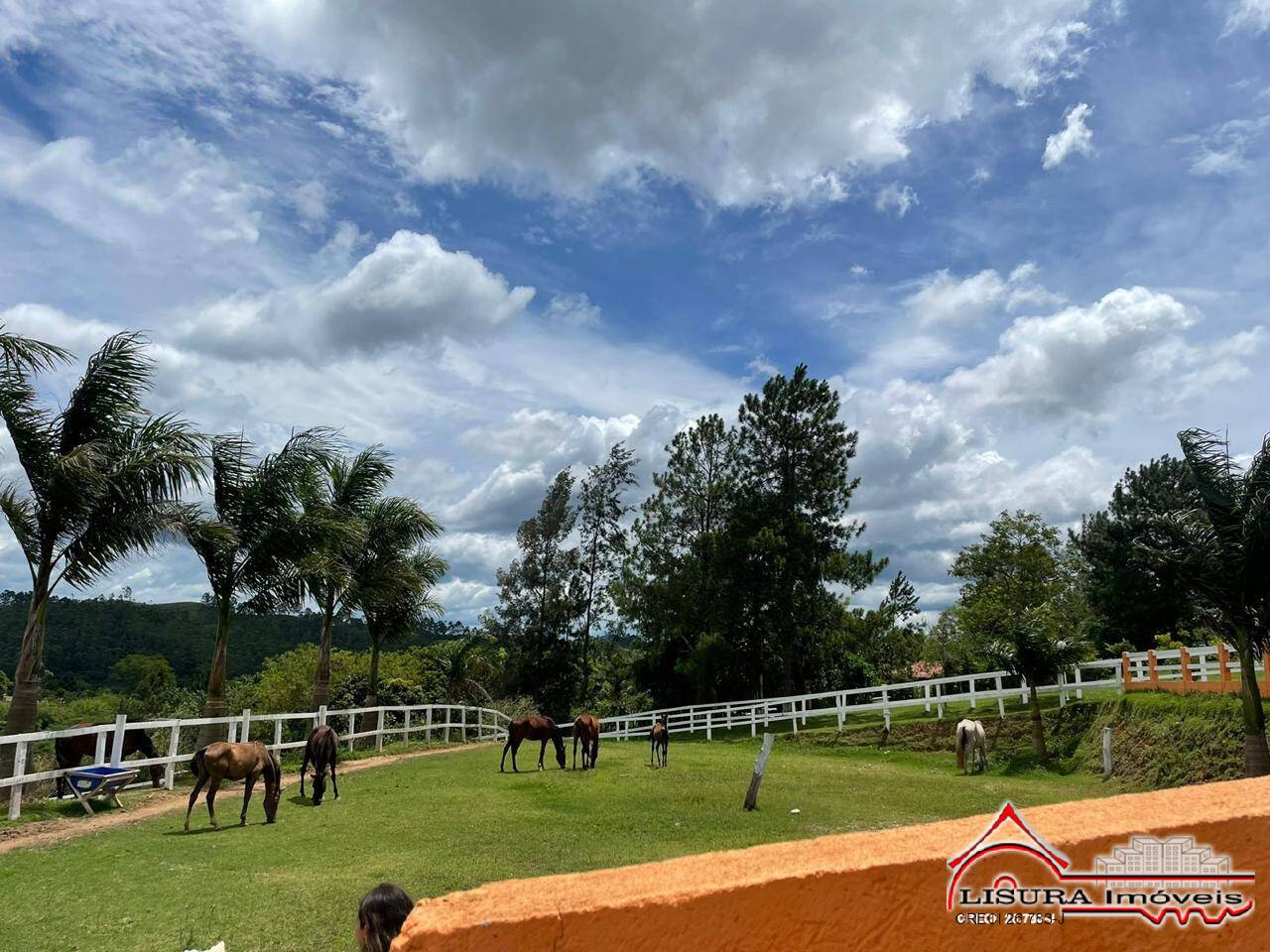 Fazenda à venda com 8 quartos, 21000m² - Foto 17