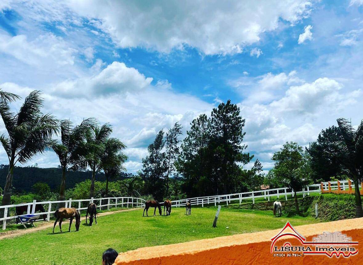 Fazenda à venda com 8 quartos, 21000m² - Foto 8