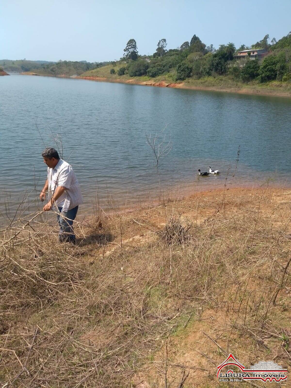 Fazenda à venda com 2 quartos, 2250m² - Foto 36