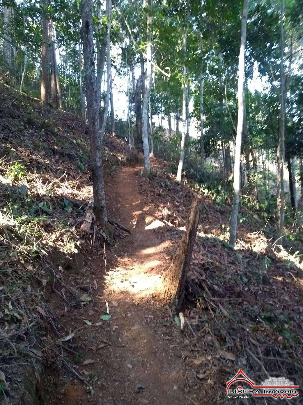 Fazenda à venda com 2 quartos, 2250m² - Foto 31