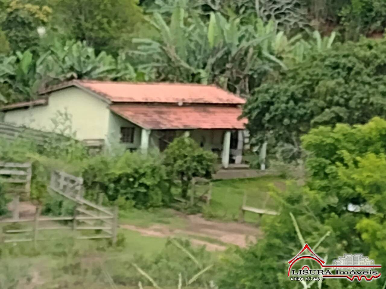 Fazenda à venda com 2 quartos, 46000m² - Foto 4