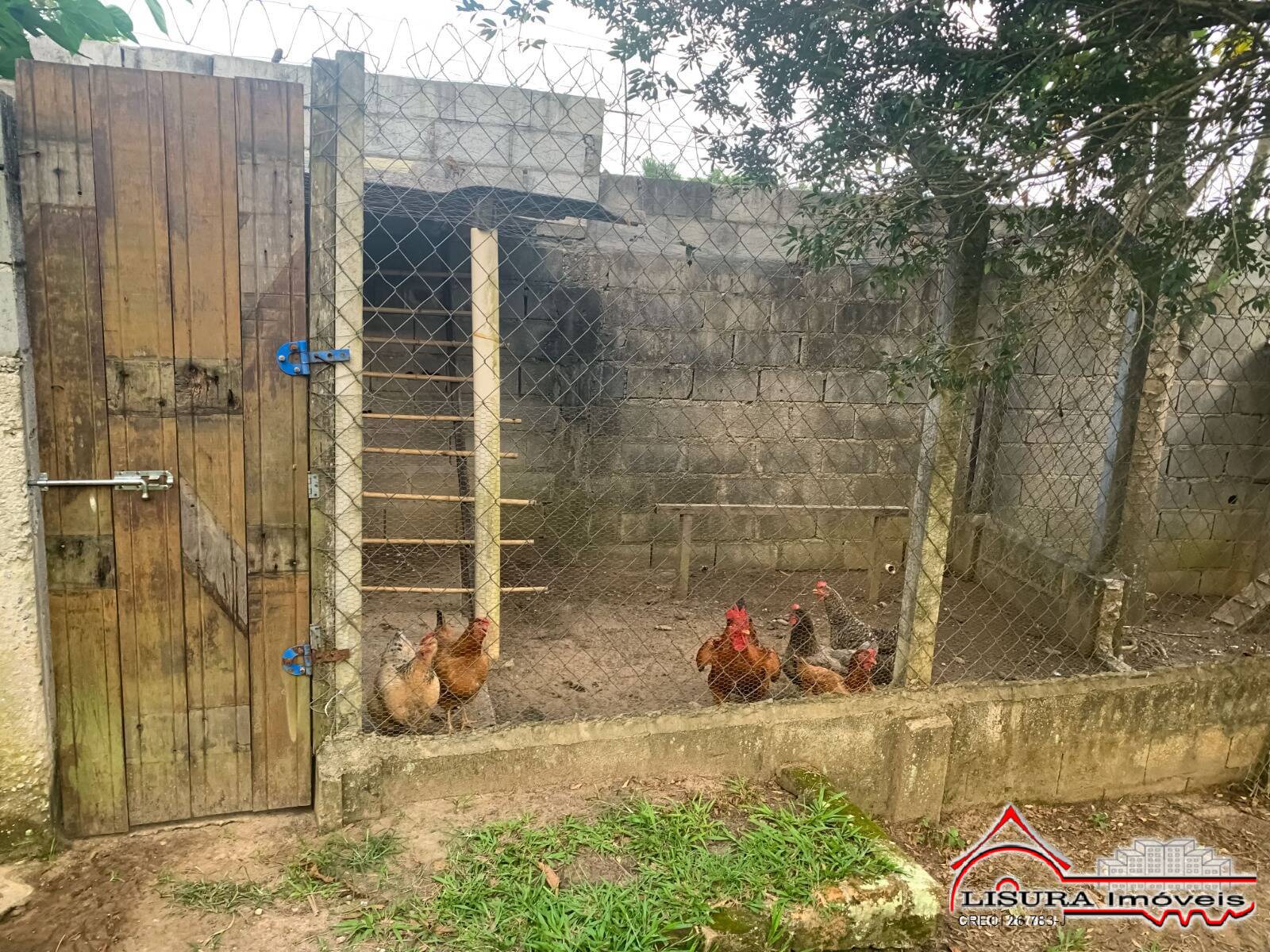 Fazenda à venda com 3 quartos, 2475m² - Foto 23