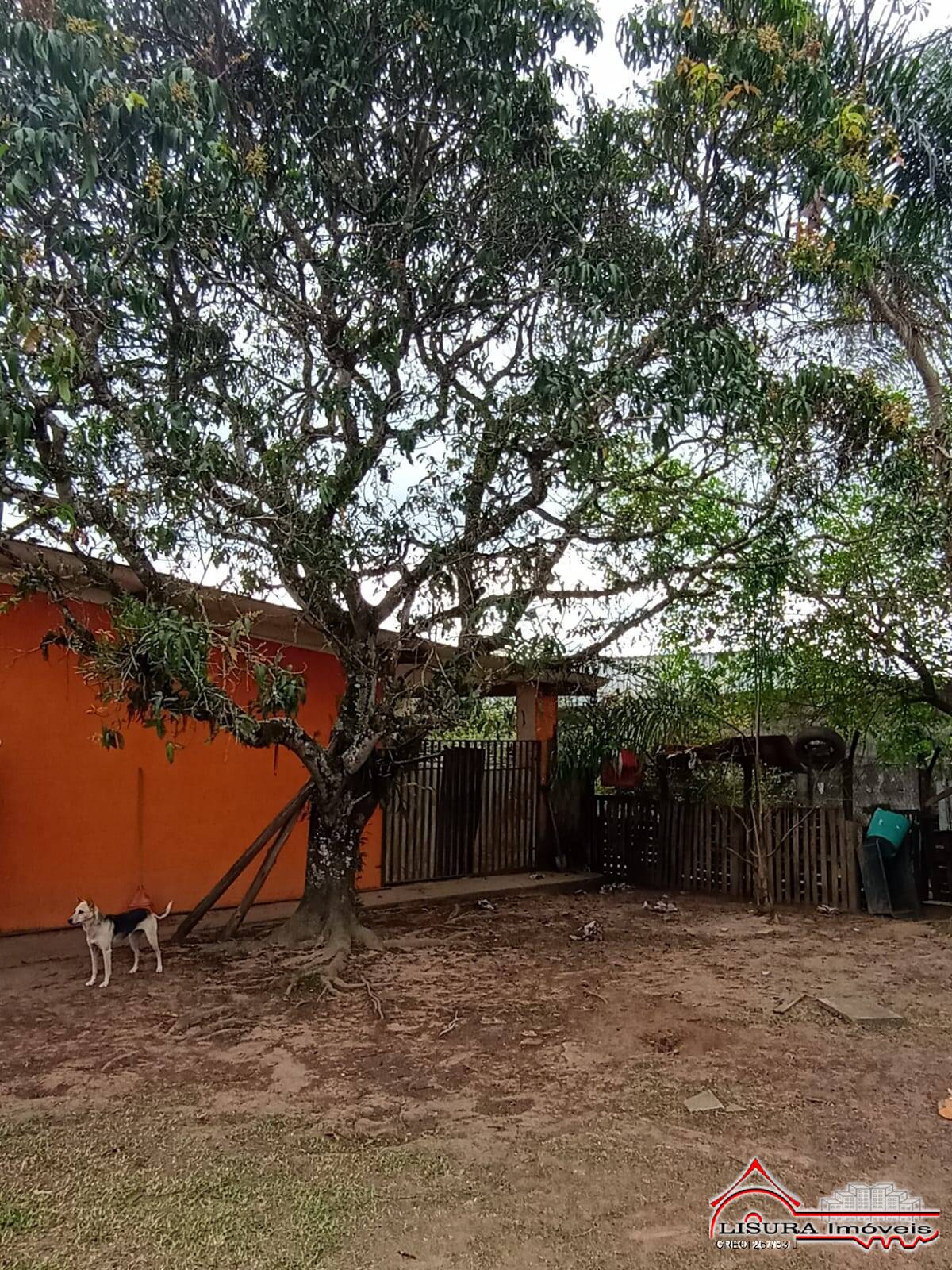 Fazenda à venda com 4 quartos, 1000m² - Foto 26