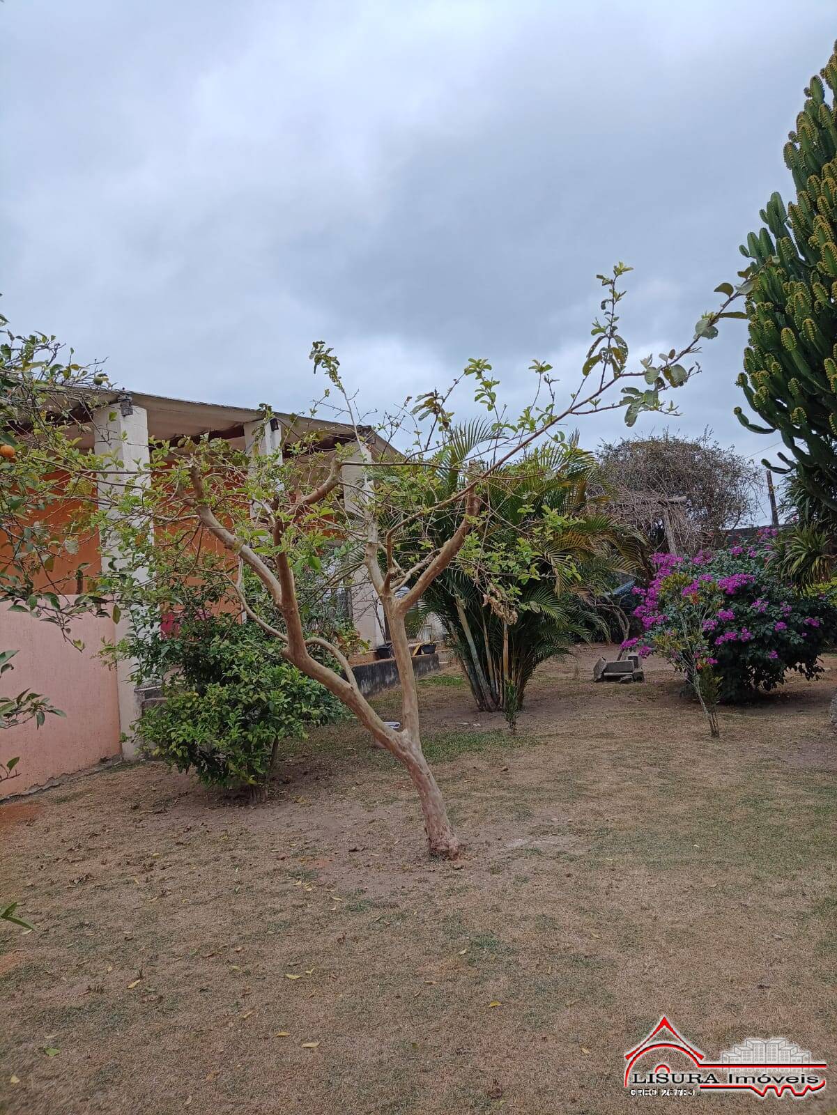 Fazenda à venda com 4 quartos, 1000m² - Foto 27