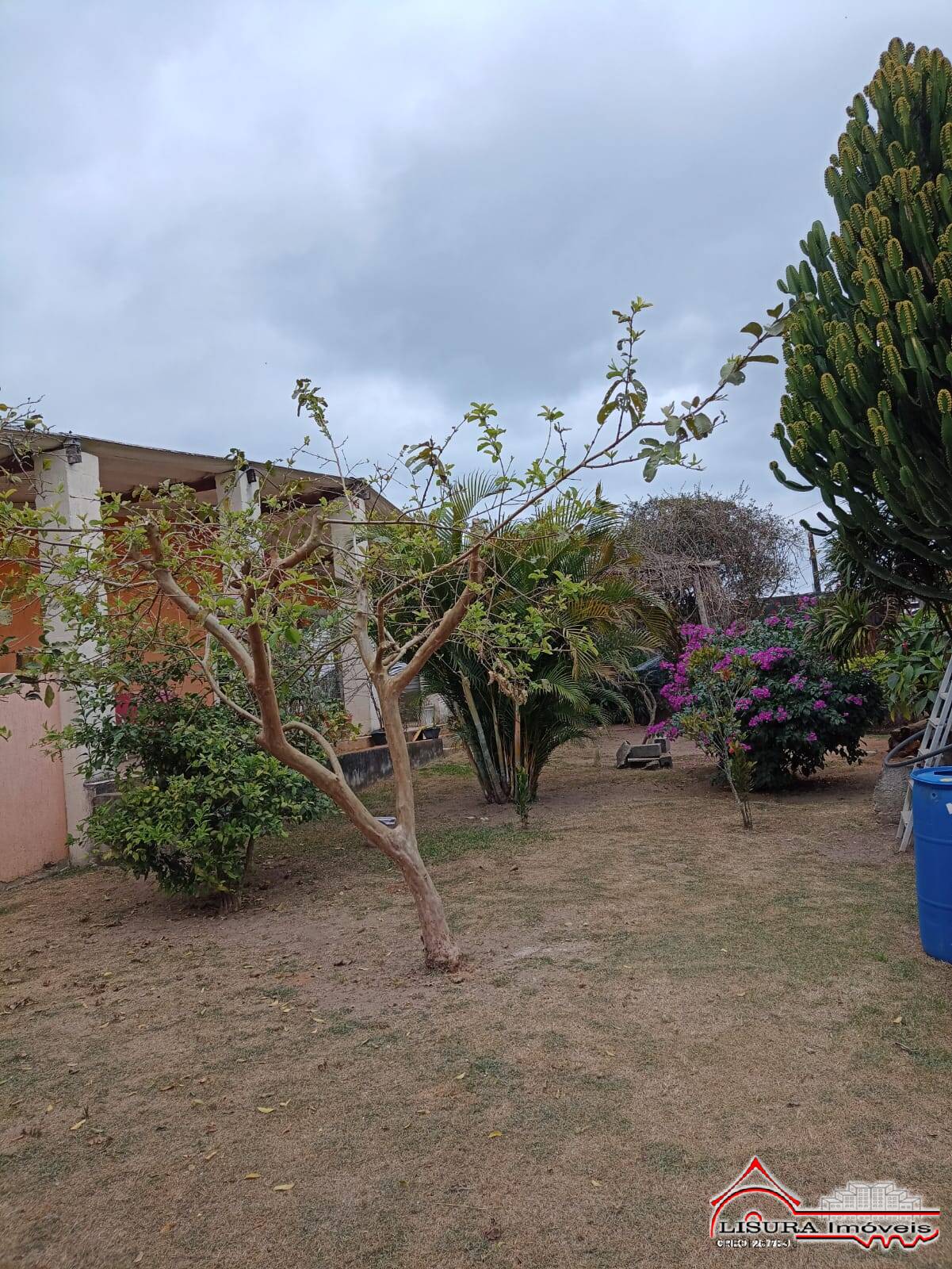 Fazenda à venda com 4 quartos, 1000m² - Foto 38