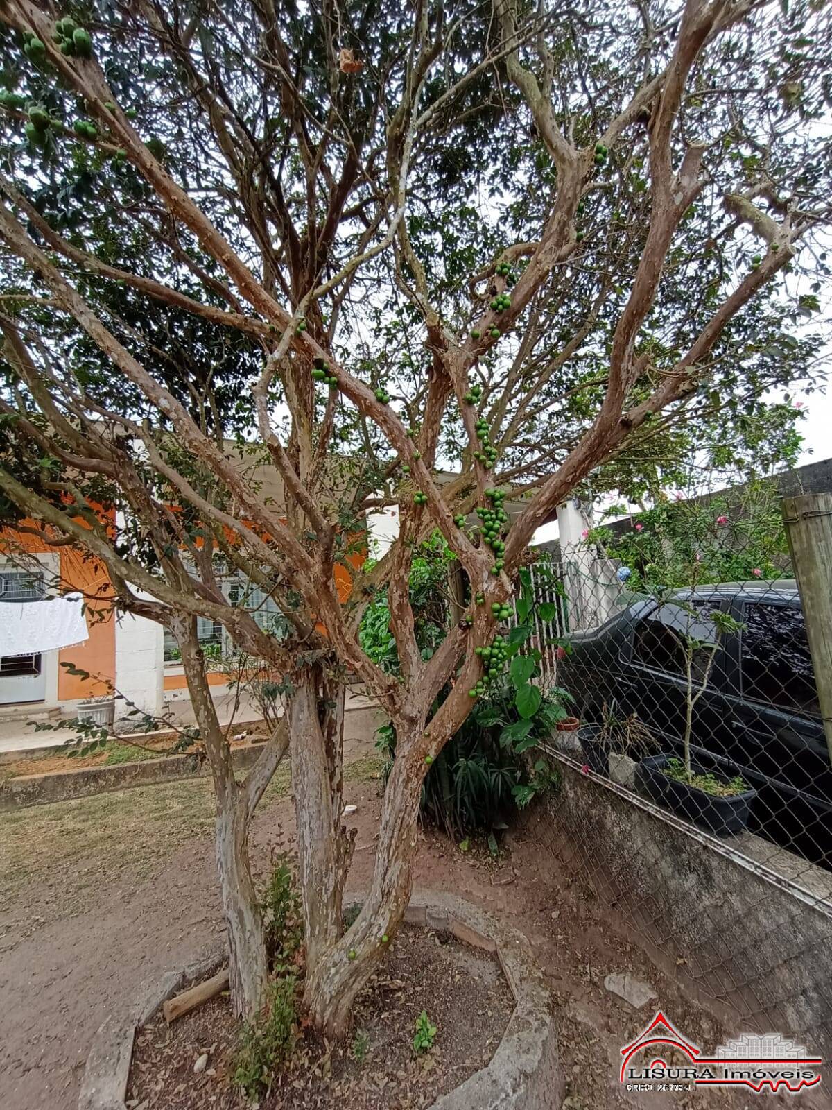 Fazenda à venda com 4 quartos, 1000m² - Foto 37