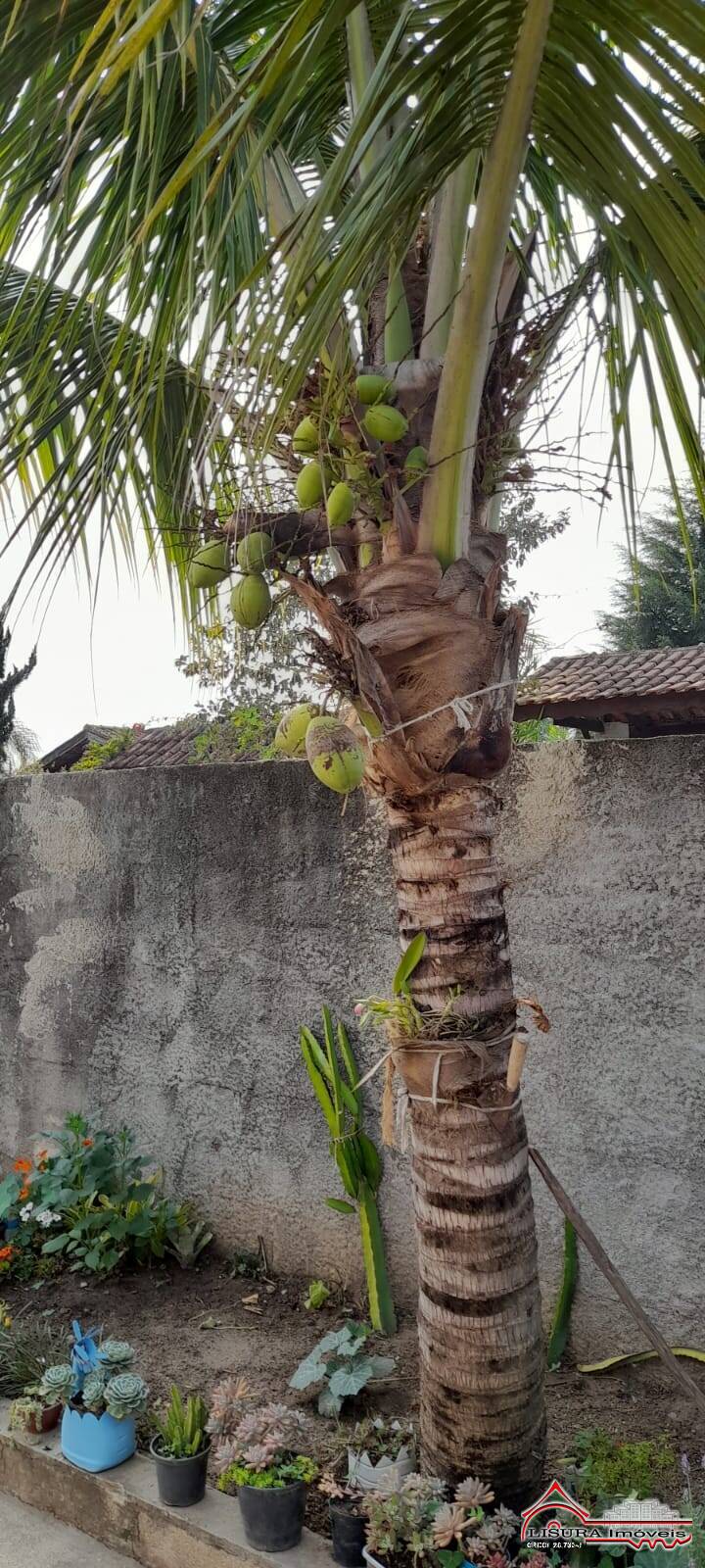 Fazenda à venda com 2 quartos, 160m² - Foto 39