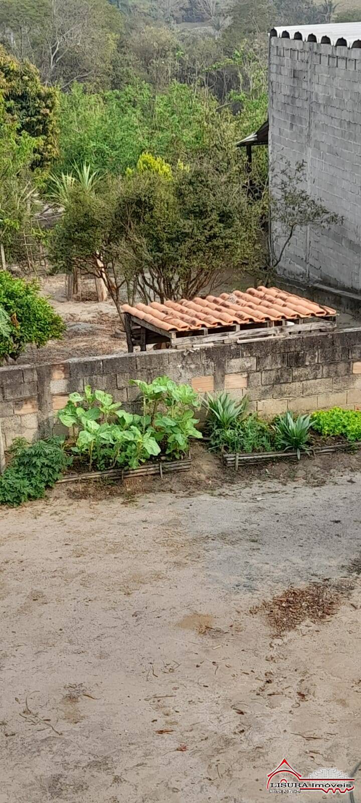 Fazenda à venda com 2 quartos, 160m² - Foto 38