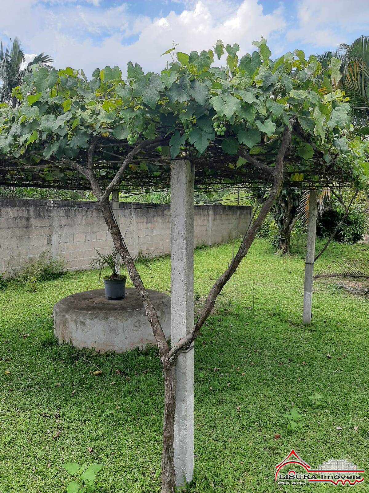 Fazenda à venda com 2 quartos, 3000m² - Foto 15