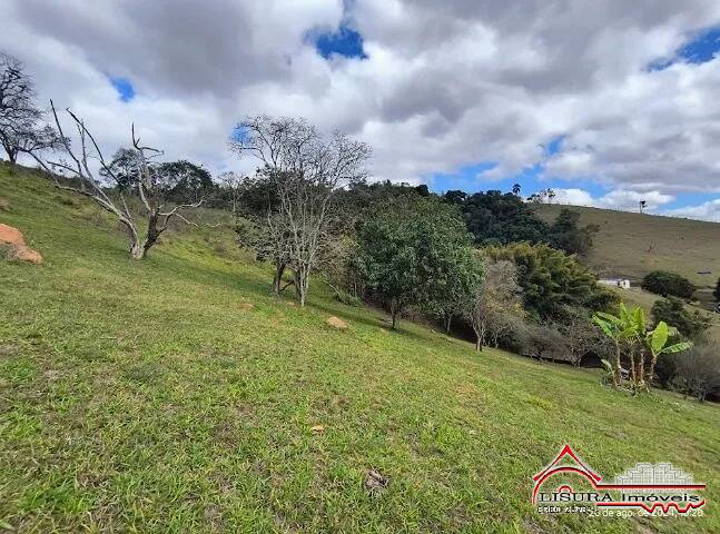 Fazenda à venda com 1 quarto, 13200m² - Foto 10