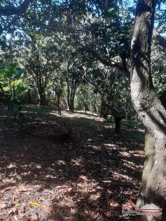 Fazenda à venda com 1 quarto, 1000m² - Foto 9