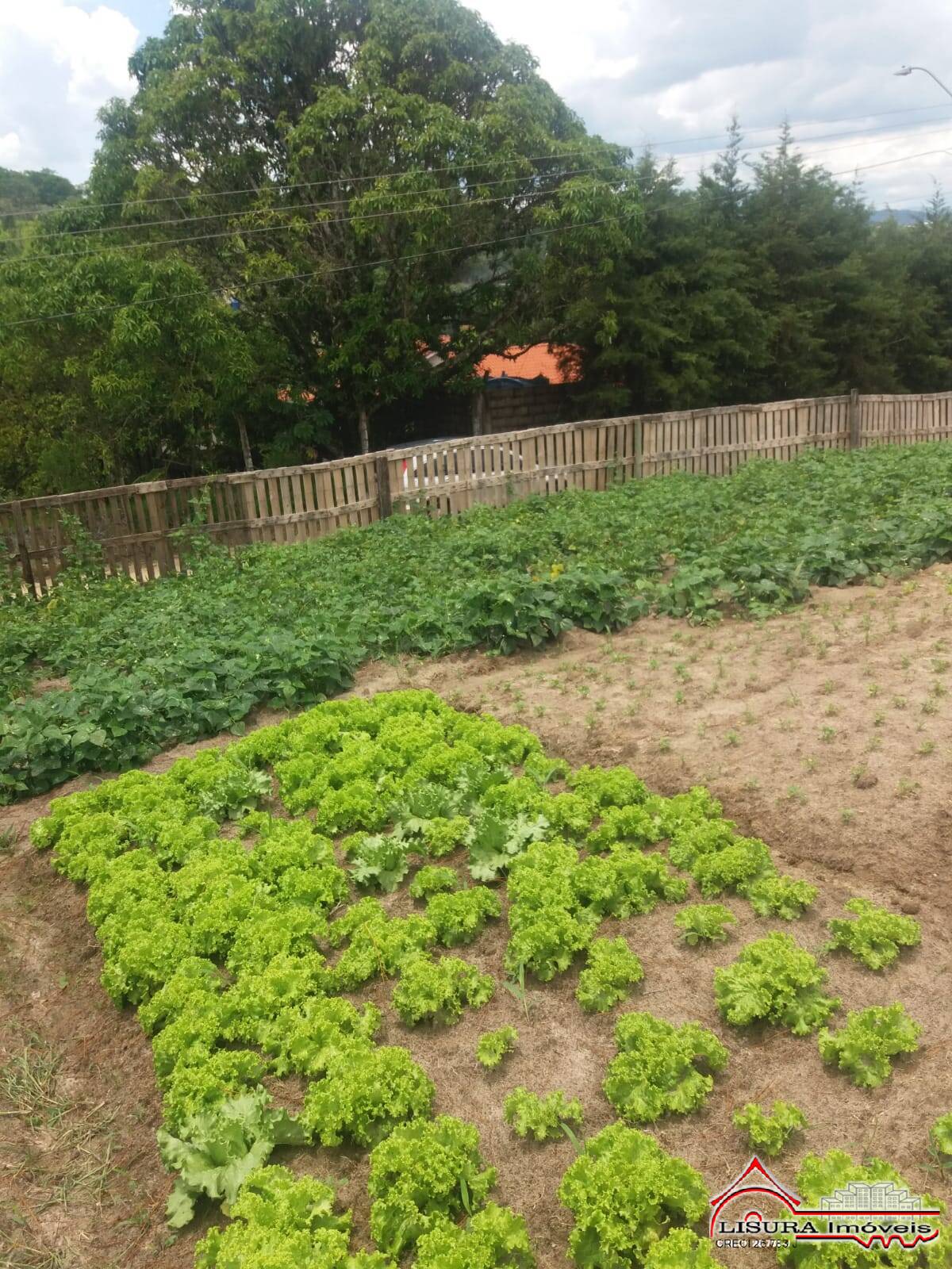 Terreno à venda, 500m² - Foto 2