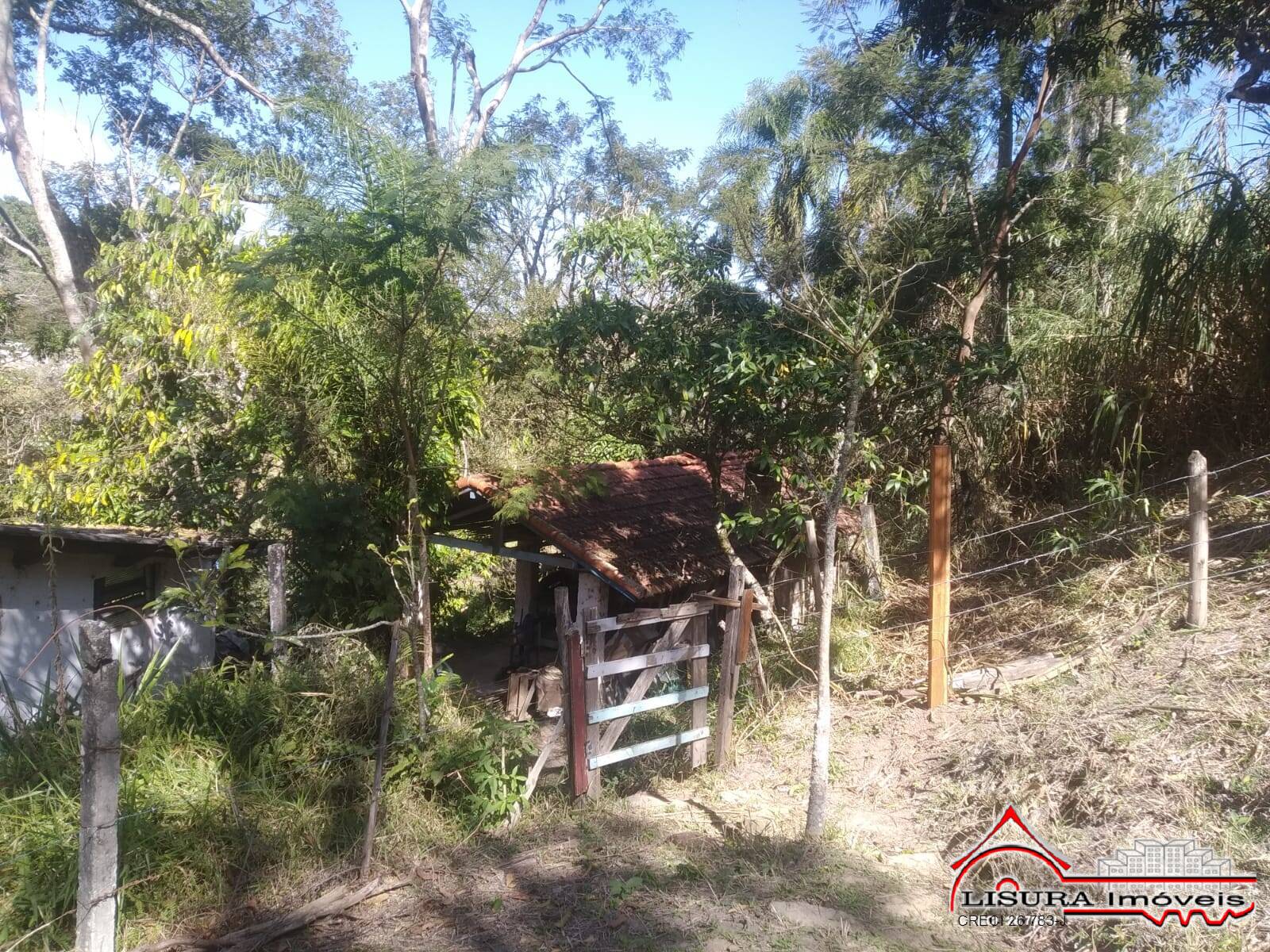 Terreno à venda, 25114m² - Foto 6