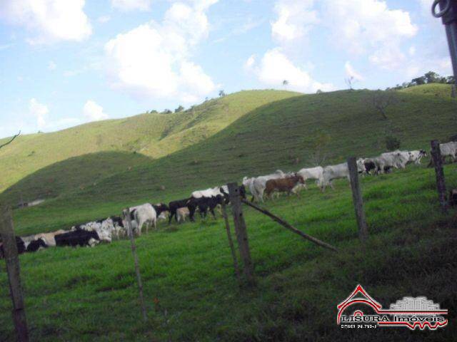 Fazenda à venda com 2 quartos, 1m² - Foto 2