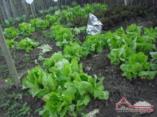 Fazenda à venda com 2 quartos, 1m² - Foto 4