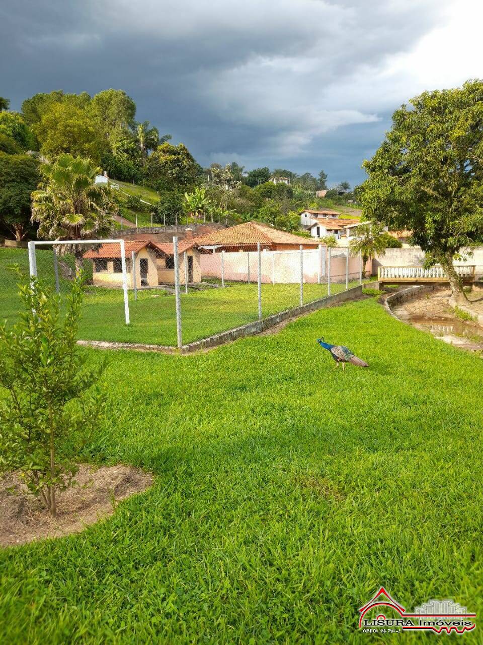 Fazenda à venda com 4 quartos, 7700m² - Foto 31