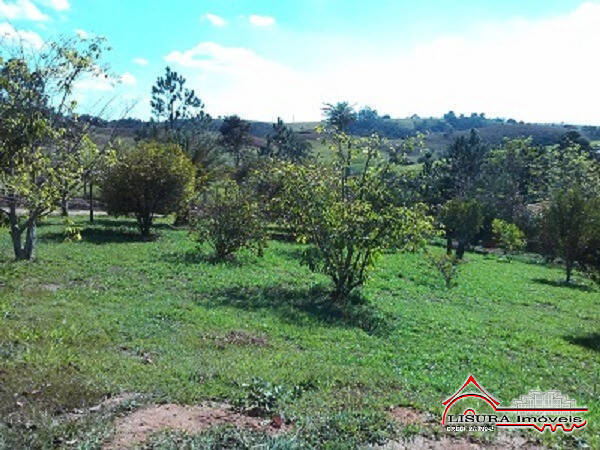 Fazenda à venda com 3 quartos, 250m² - Foto 43