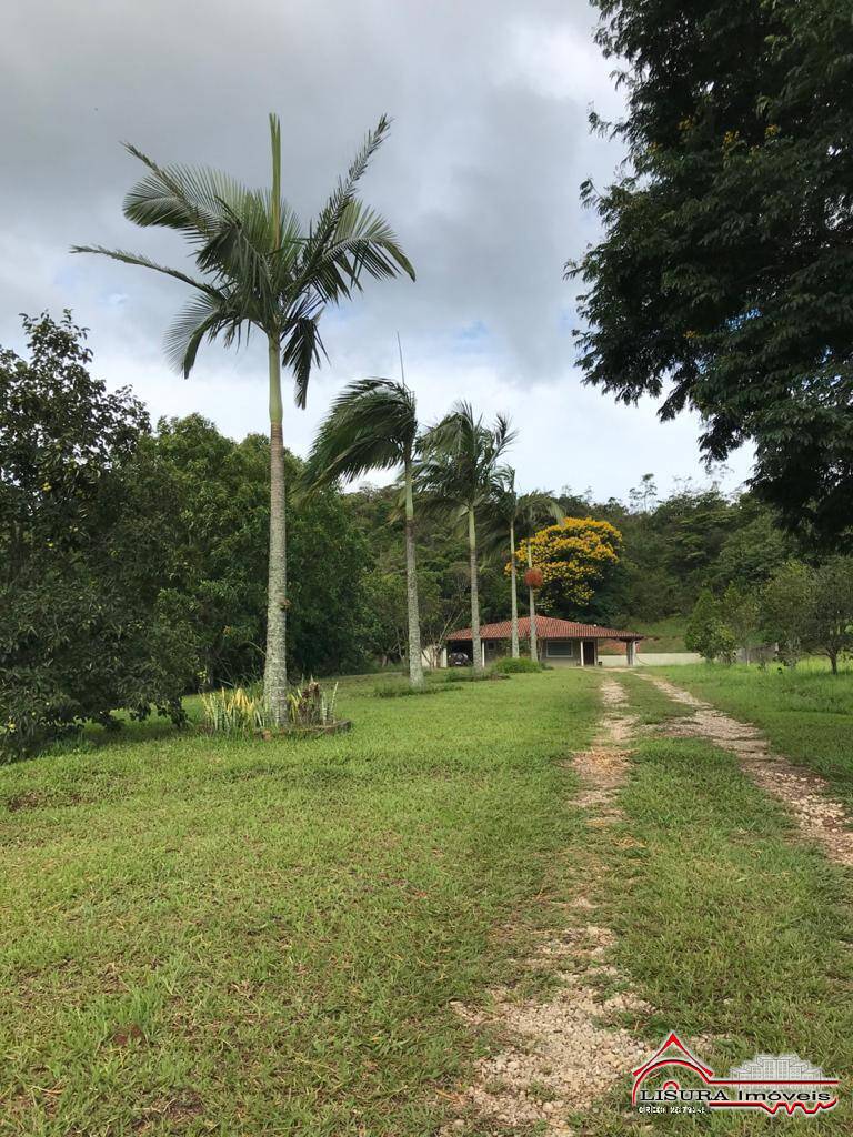 Fazenda à venda com 3 quartos, 250m² - Foto 41