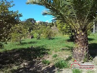 Fazenda à venda com 3 quartos, 250m² - Foto 50