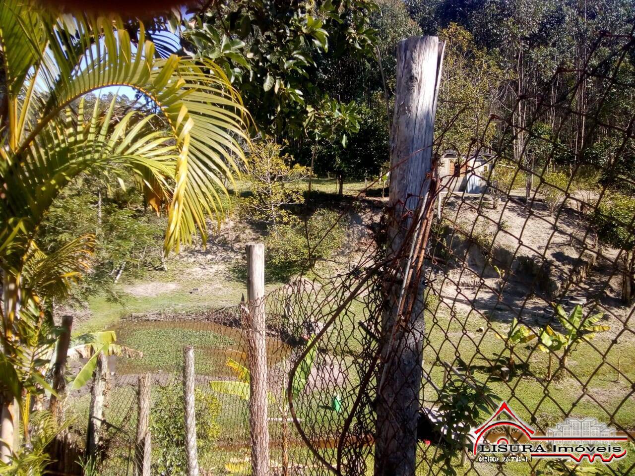 Fazenda à venda com 3 quartos, 400m² - Foto 31